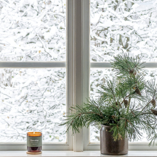 Barrskog Doftljus 150 g